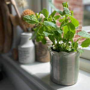 The sage green daisy handmade planter sat on a windowsill by a kitchen sink