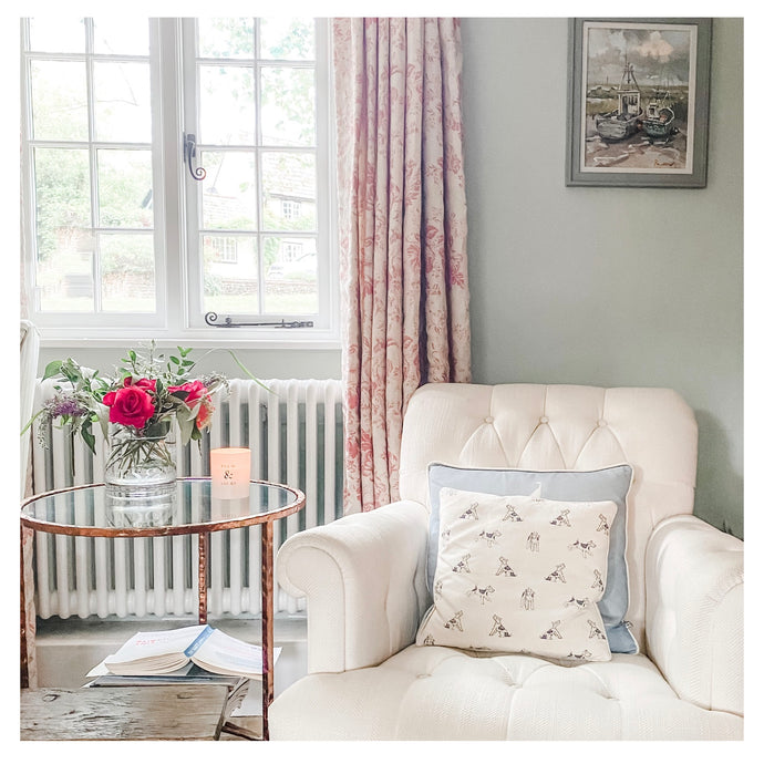 Evolved Interiors