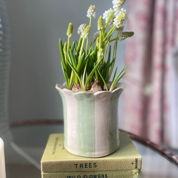 Bringing a Touch of Spring into Your January Home