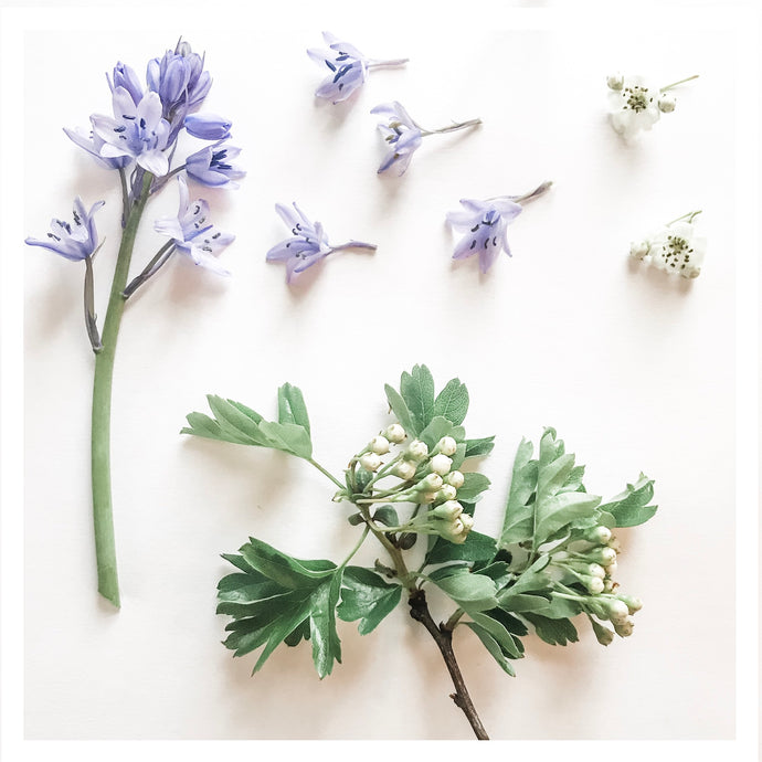 The Gentle Stillness of Spring