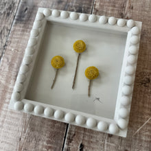 Load image into Gallery viewer, Hand Crafted Billy Buttons in a Bobbin Frame - Autumn Trees