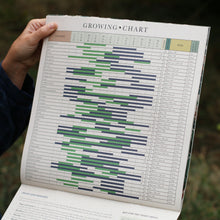 Load image into Gallery viewer, Hand holding a &#39;Growing Chart&#39; with green and blue bars against a natural background