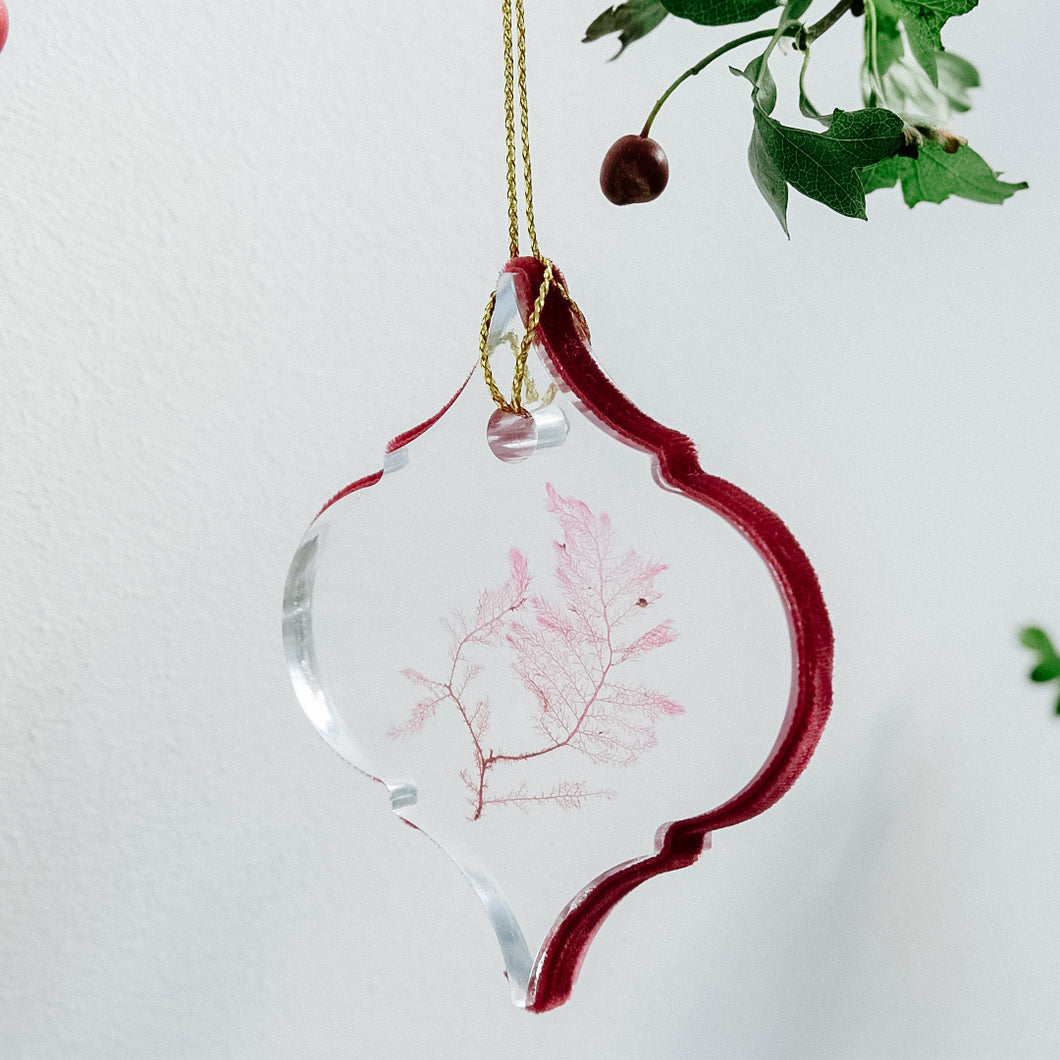 Handmade Hand-Pressed Seaweed Bauble  - Burgundy Velvet Ribbon