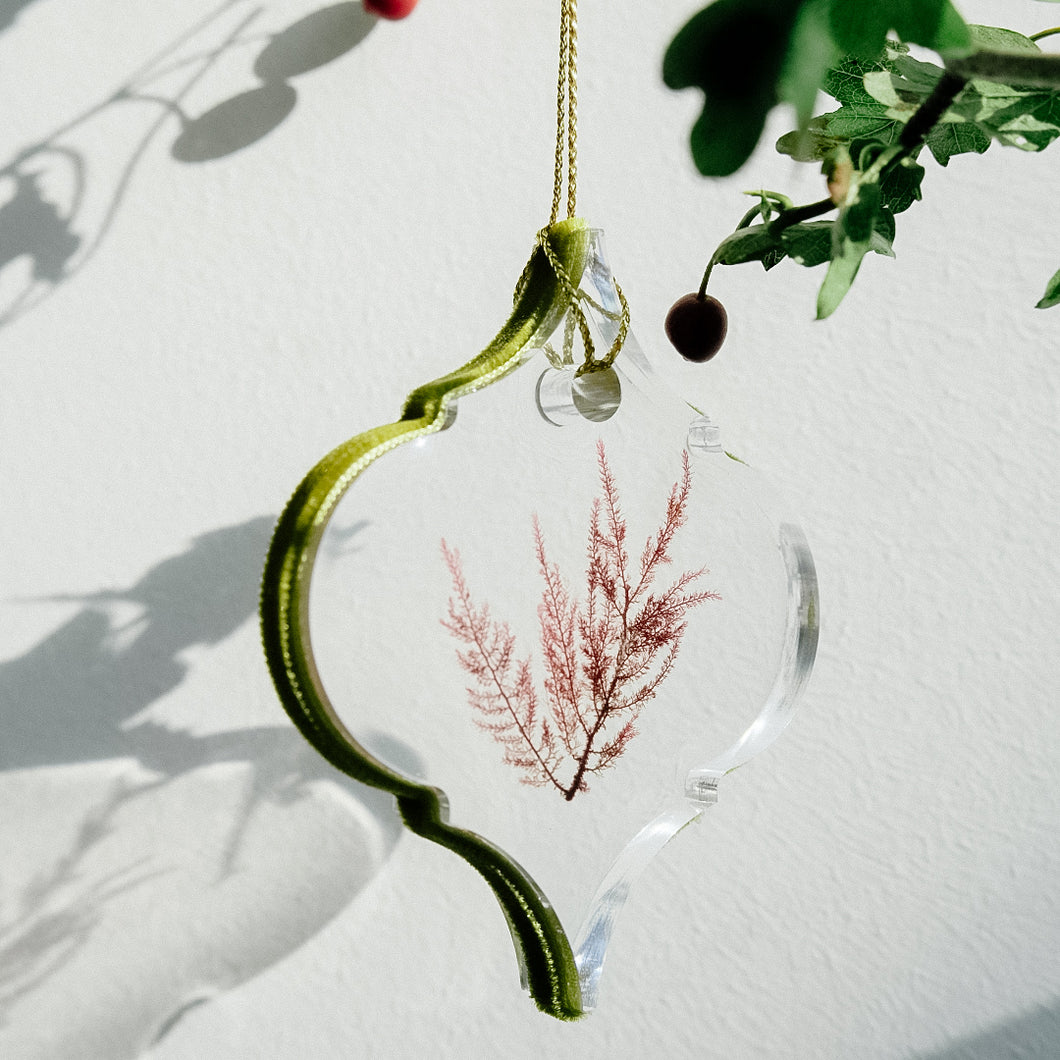 The handpressed eco resin seaweed bauble from Comb Cornwall