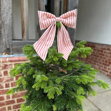 Load image into Gallery viewer, Handmade Large Bow in Candy Pink Ticking Stripe Atop an Outside Fur Tree