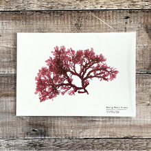 Load image into Gallery viewer, Hand Pressed British Seaweed Print - Berry Wart Cress