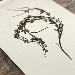 British Seaweed Print - Egg Wrack