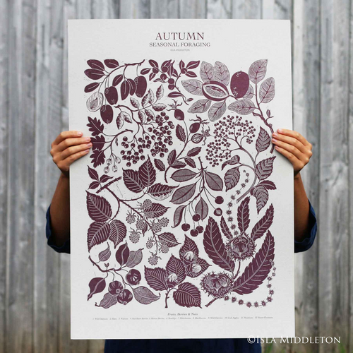 A stunning linocut illustration by Devon based textile designer and printmaker Isla Middleton.  Features seasonal autumnal foraging plants.  Perfect for your kitchen wall.