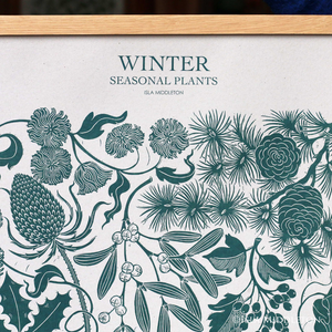 A close up detail of the winter seasonal botanical illustration by isla middleton