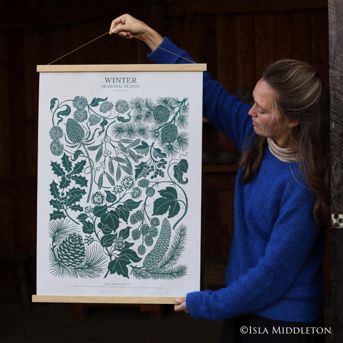 The winter seasonal botanical illustration by Isla Middleton.  
