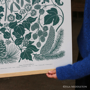 the bottom detail of the winter seasonal botanical illustration by isla middleton